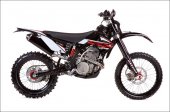 2010 GAS GAS EC 450 4T photo